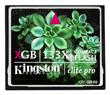 Pam. karta - KINGSTON 8 GB CF ElitePro 133x HiSpeed
